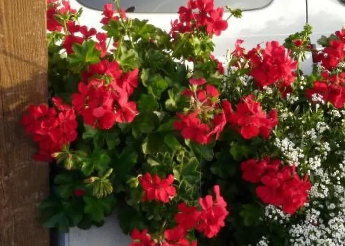 Haus Schoenberg By Interhome