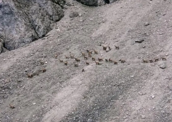 Haus Schoenberg By Interhome * Leutasch