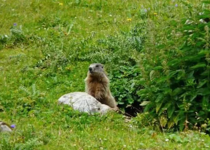 Appartement Haus Schoenberg By Interhome *